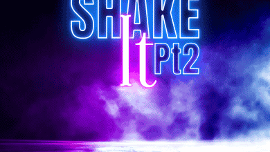 Kaos Brought - Shake It, Pt. 2